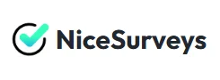 NiceSurveys挣钱平台