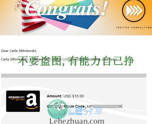 2019 年，InSites Consulting Amazon 礼品卡到账 800 多美元的收款记录截图